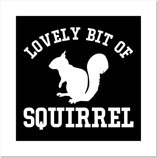 Lovely bit of squirrel Wall Art by SimonL
